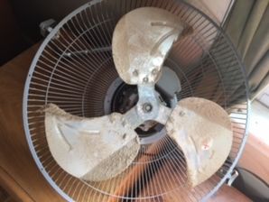 Before & After Fan Cleaning in Shrewsbury, MA (2)
